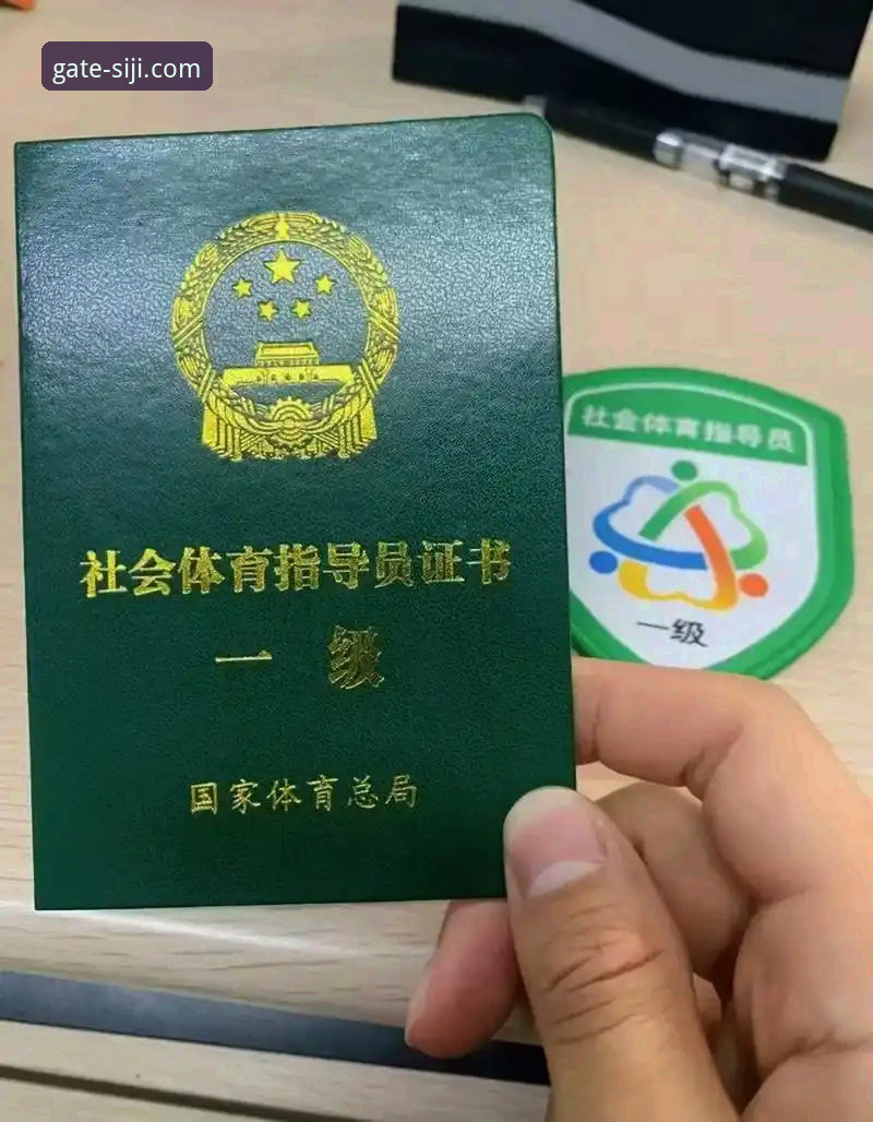 技术评测员详解：四季体育官网手机版登录与使用心得